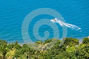 The hydrocycle rides on blue water along the green shore with trees.