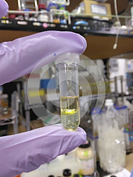 Hydrofobic deep eutectic solvent experiment