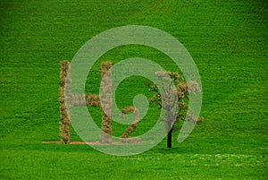 hydrogen h2 letters with brown leaves like a tree on a green meadow