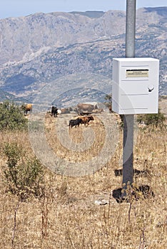 Hydrometeorological station in the mountains