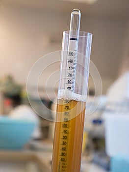 Hydrometer used to measure the specific gravity of wine and beer