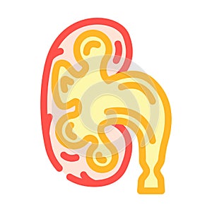 hydronephrosis urology color icon vector illustration