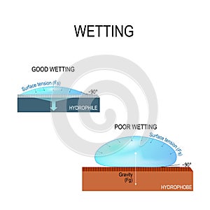 Hydrophilic and hydrophobic surface