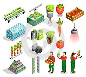 Hydroponic And Aeroponic Isometric Icons