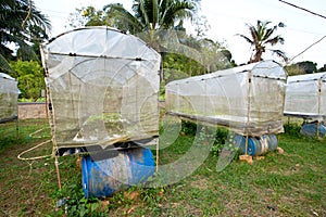 Hydroponic Farm