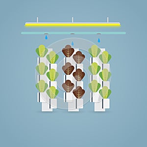 Hydroponic farm illustration