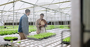 Hydroponic farm, plants and farmers with checklist in discussion, greenhouse and sustainability for quality control