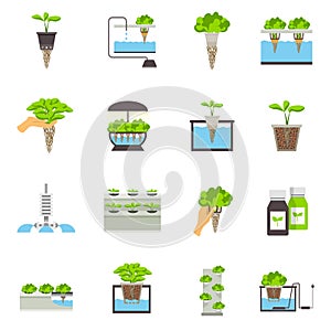 Hydroponic Flat Icons