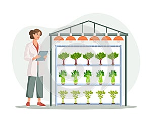 Hydroponic technology for growing plants. Scientist or biologist at hydroponic farm. Vertical farming. Smart farm.