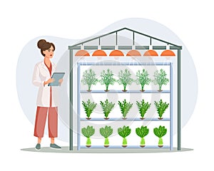 Hydroponic technology for growing plants. Scientist or biologist at hydroponic farm. Vertical farming. Smart farm.