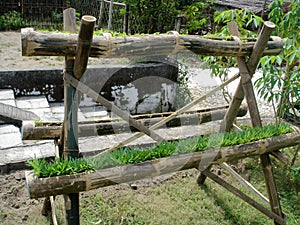 Hydroponic Vertical Gardening 04