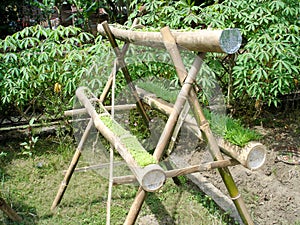 Hydroponic Vertical Gardening 01