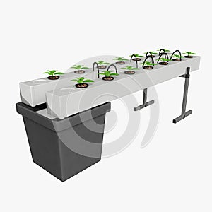 Hydroponics & Aeroponics sistem photo