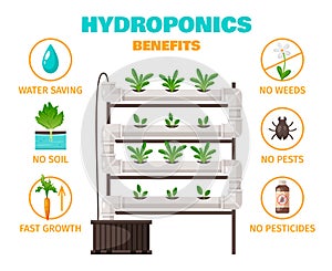 Hydroponics Benefits Concept