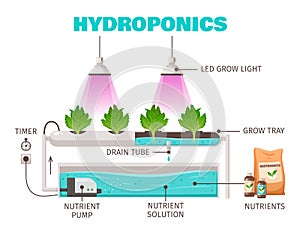 Hydroponics Farming Concept photo