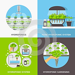 Hydroponics Flat Concept