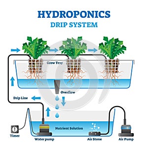 Hydroponics vector illustration. Labeled drip system explanation scheme.