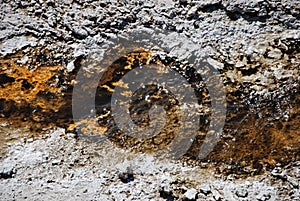 Hydrothermal Colors in Yellowstone National Park, Wyoming