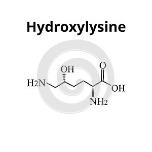 Hydroxylysine is an amino acid. Chemical molecular formula Hydroxylysine amino acid. Vector illustration on isolated
