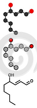 4-Hydroxynonenal (HNE) molecule. Metabolite produced by lipid peroxidation of polyunsaturated omega-6 fatty acids