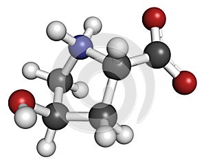 Hydroxyproline (Hyp) amino acid. Essential component of collagen. Atoms are represented as spheres with conventional color coding