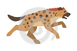 Hyena as Carnivore Mammal with Spotted Coat and Rounded Ears Running Vector Illustration