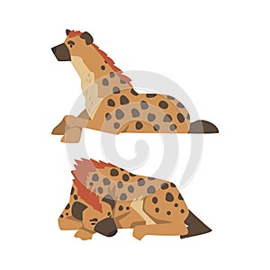 Hyena as Carnivore Mammal with Spotted Coat and Rounded Ears Sleeping and Sitting Vector Set