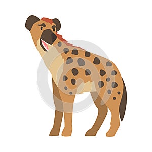 Hyena as Carnivore Mammal with Spotted Coat and Rounded Ears Standing with Open Jaw Vector Illustration