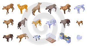 Hyena icons set isometric vector. Wildlife animal