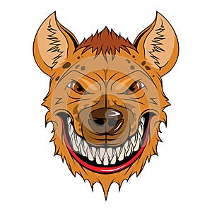 Hyena. Vector illustration of angry animal. African spotted wild animal