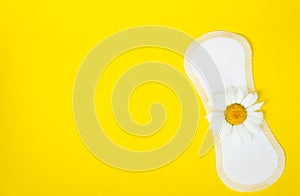 Hygienic daily panty liners and camomile on yellow background