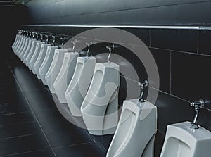 Hygienic toilets to avoid the concept of germs and infections