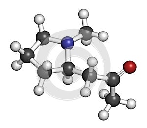 Hygrine coca alkaloid molecule. 3D rendering. Atoms are represented as spheres with conventional color coding: hydrogen (white),