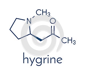 Hygrine coca alkaloid molecule. Skeletal formula.