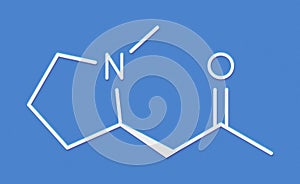 Hygrine coca alkaloid molecule. Skeletal formula.