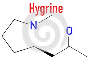 Hygrine coca alkaloid molecule. Skeletal formula. Chemical structure