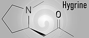 Hygrine coca alkaloid molecule. Skeletal formula. Chemical structure
