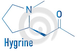 Hygrine coca alkaloid molecule. Skeletal formula. Chemical structure