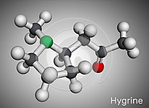 Hygrine pyrrolidine alkaloid molecule. It is found in the coca plant. Molecular model. 3D rendering