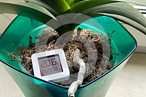 Hygrometer and orchid. The hygrometer displays humidity and temperature near the orchid flower