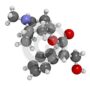 Hyoscyamine alkaloid molecule. Herbal sources include henbane, mandrake, jimsonweed, deadly nightshade and tomato. 3D rendering.
