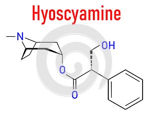 Hyoscyamine alkaloid molecule. Skeletal formula. Chemical structure
