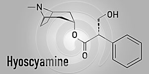 Hyoscyamine alkaloid molecule. Skeletal formula. Chemical structure