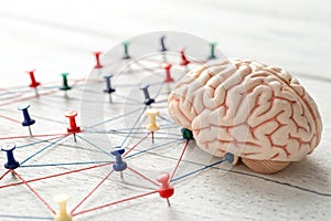 The Hyper-Connected Mind: Understanding Brain Waves and Digital Information Flow