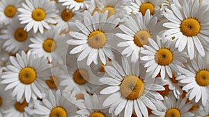 A hyper-realistic close-up of a daisy's center