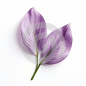 Hyper-realistic Oil Painting Of Two Purple Leaves On White Background