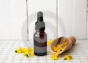 Hypericum perforatum known as perforate St John\'s-wort tincture or oil bottle with plant flowers for decoration on white.