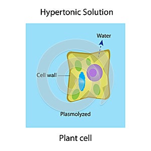 Hypertonic solution