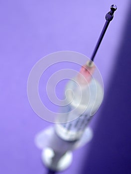 Hypodermic Needle photo