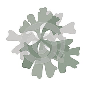 Hypogymnia gray lichen bush logo icon